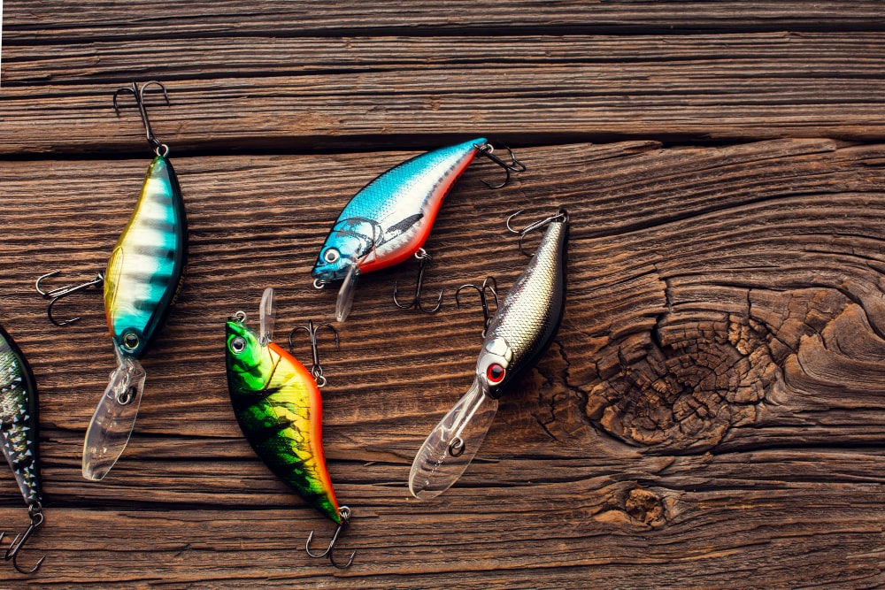 How to choose lures for sea bass fishing