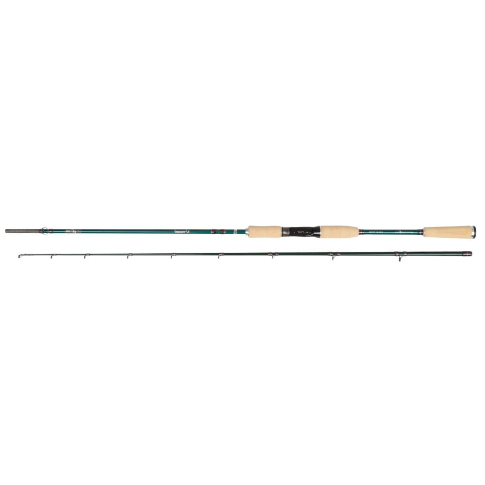 Abu Garcia Beast X Cork Casting Rod