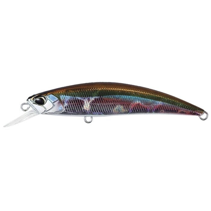 DUO Spearhead Ryuki 60s ADA4013 Wakasagi