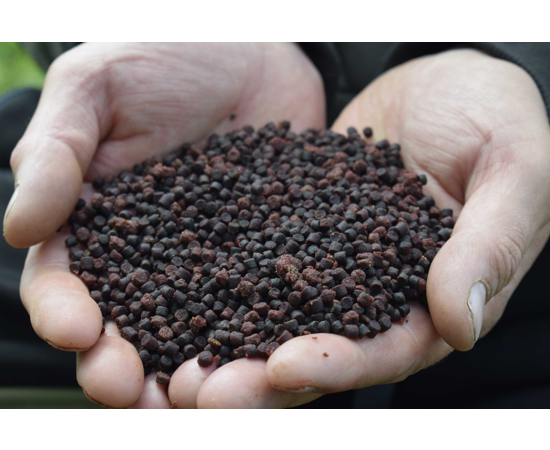 Sonubaits Cheesy Garlic Halibut Pellets 900g