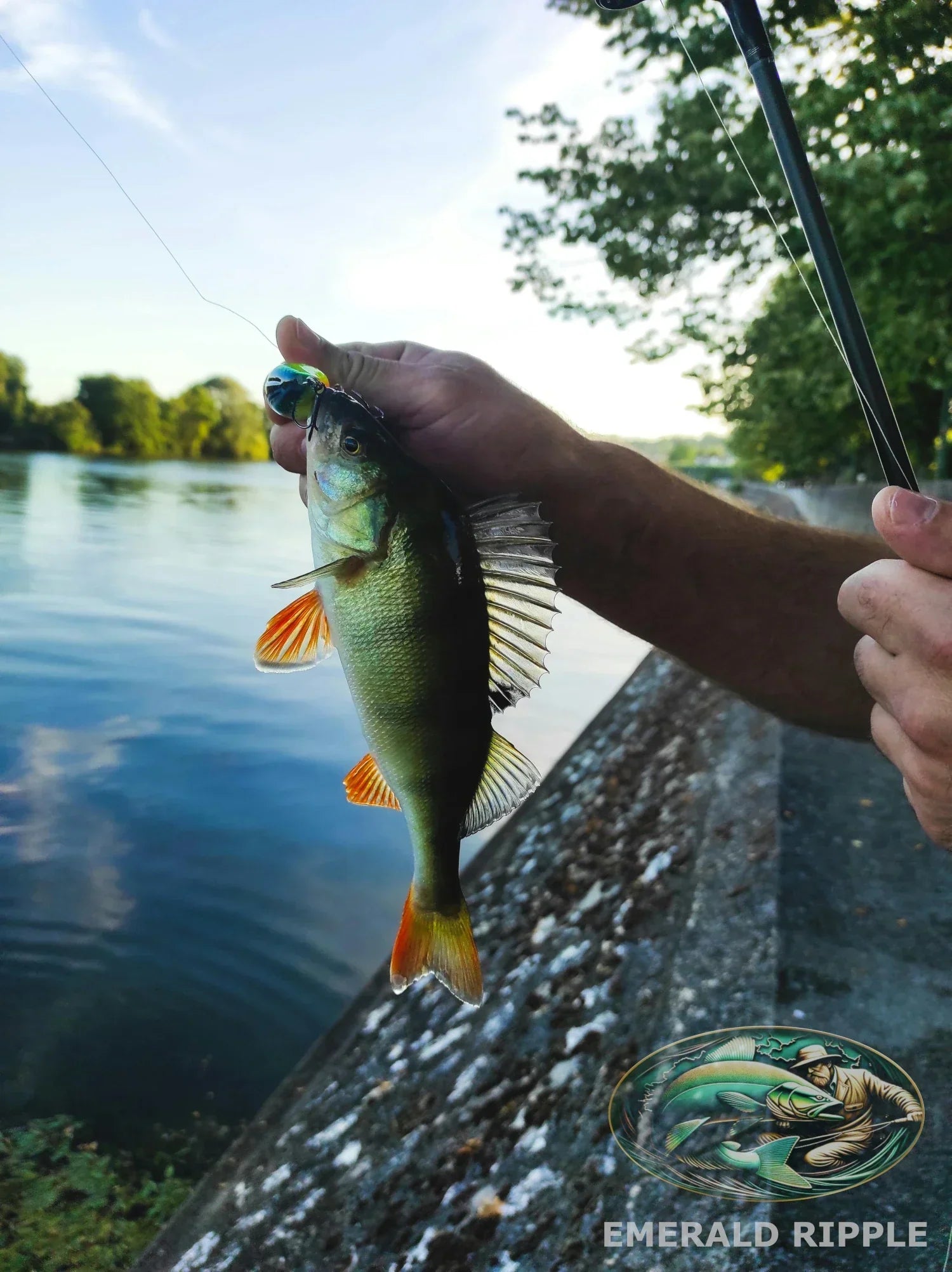 Perch Fishing with Spinners: What Actually Works (From Someone Who's D