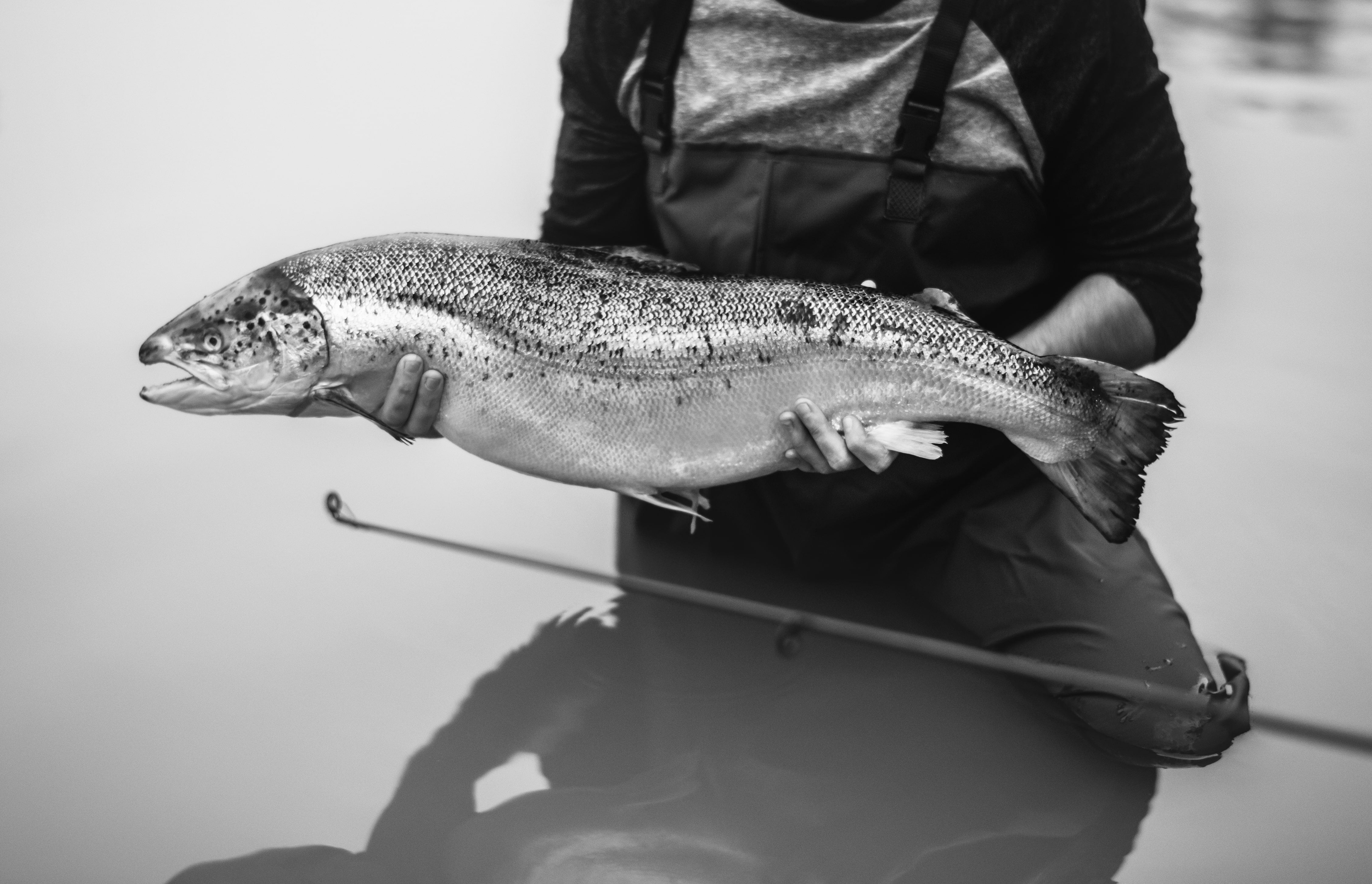 Best Salmon Fishing Rods - Spinning, Casting & Trolling Rods Reviewed