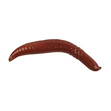 Berkley Gulp! Floating Pinched Crawler 2inch Nightcrawler