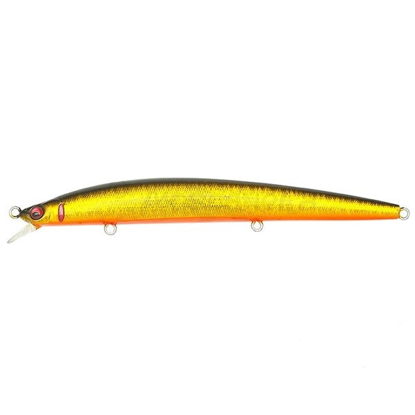 MEGABASS X-120 GG JABARA KINKURO
