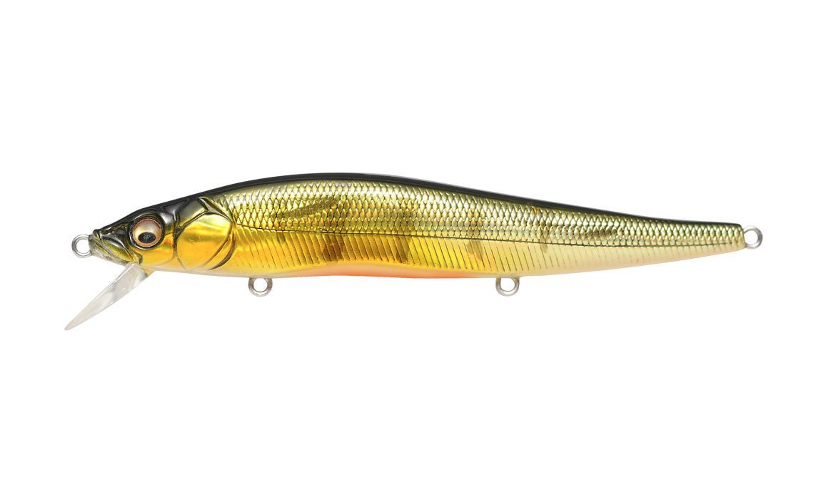MEGABASS VISION ONETEN GG PERCH OB