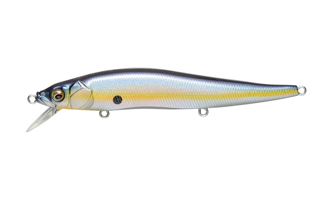 MEGABASS VISION ONETEN USA MEGABASS SEXY SHAD