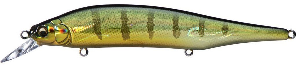 Megabass ITO Shiner GG Perch