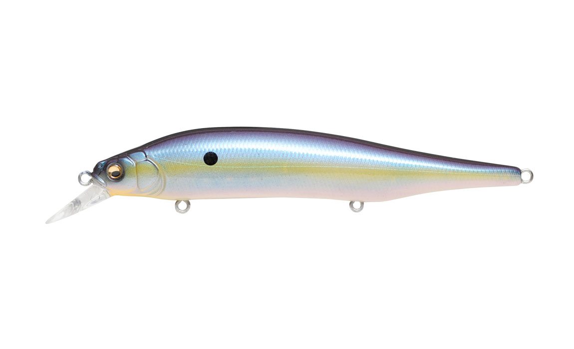 Megabass ITO Shiner MG Sexy French Pearl