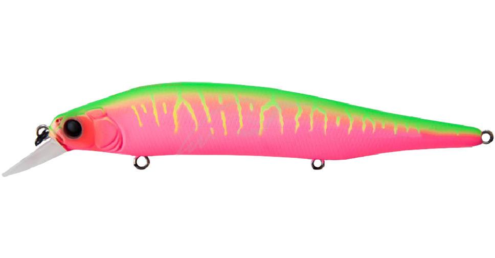 Megabass ITO Shiner Pitaya Mat Tiger