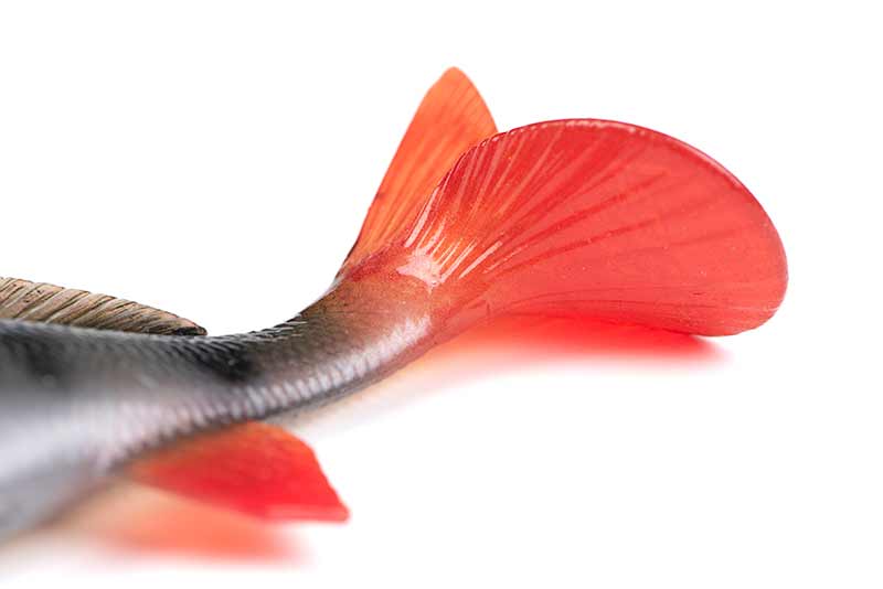Fox Rage Ultra Realistic Perch Replicant 10cm 19g