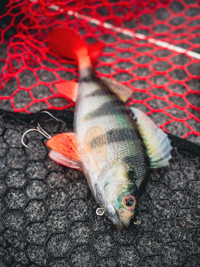 Fox Rage Ultra Realistic Perch Replicant 14cm 52g