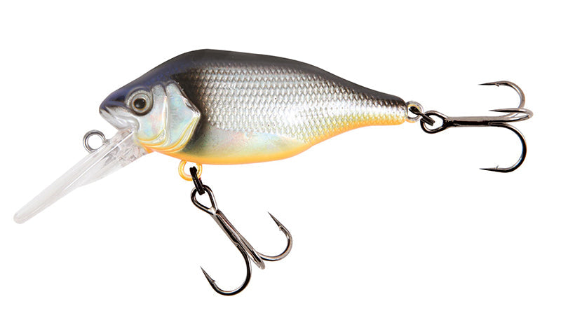 Fox Rage Funk Bug 5cm DR UV Silver Baitfish
