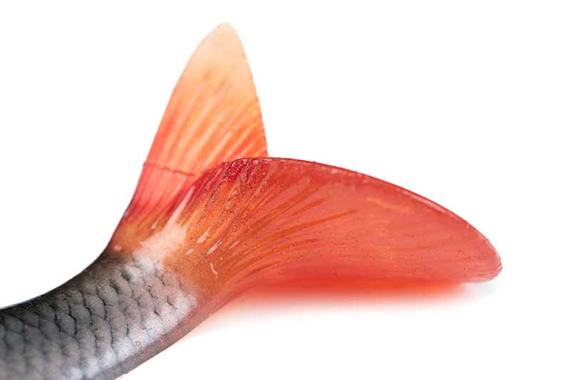 Fox Rage Ultra Realistic Roach Replicant 18cm 83g
