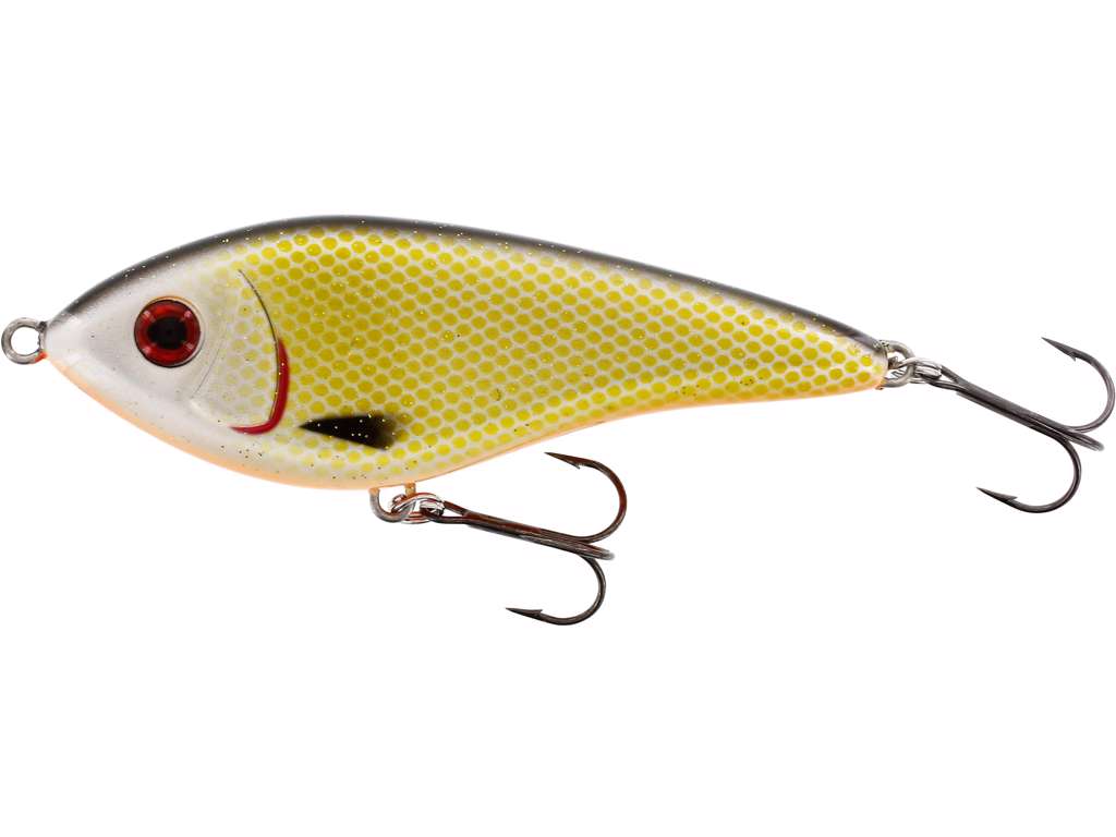 Westin Swim Glidebait 8cm 16g Suspending Official Roach