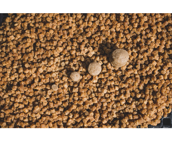 Sonubaits Pro Expander Pellets 500g