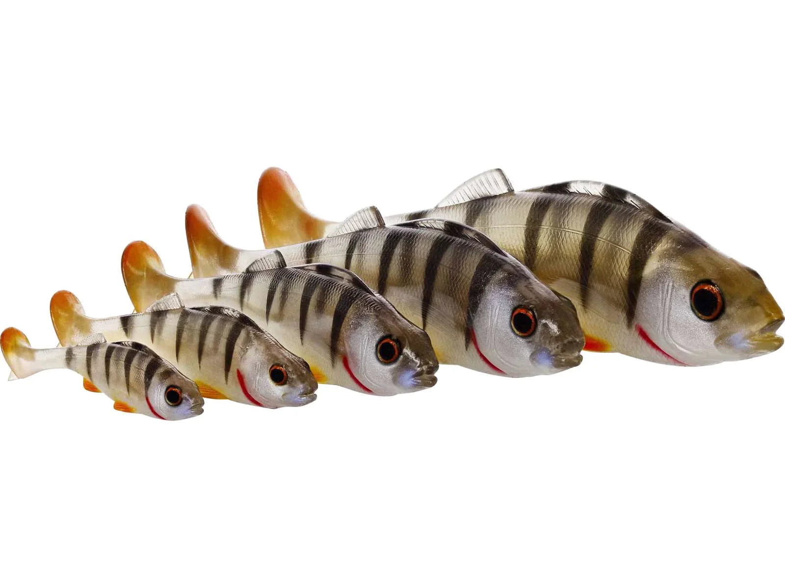 Westin Original Perch 15cm 34g
