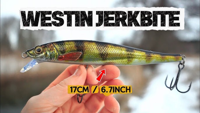 Westin Jerkbite SR 17cm 47g SP Real Perch