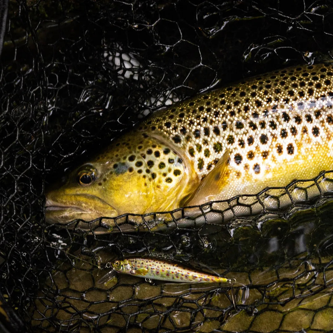 Westin Jerkbite SR 7.5cm 5g Brown Trout Fry
