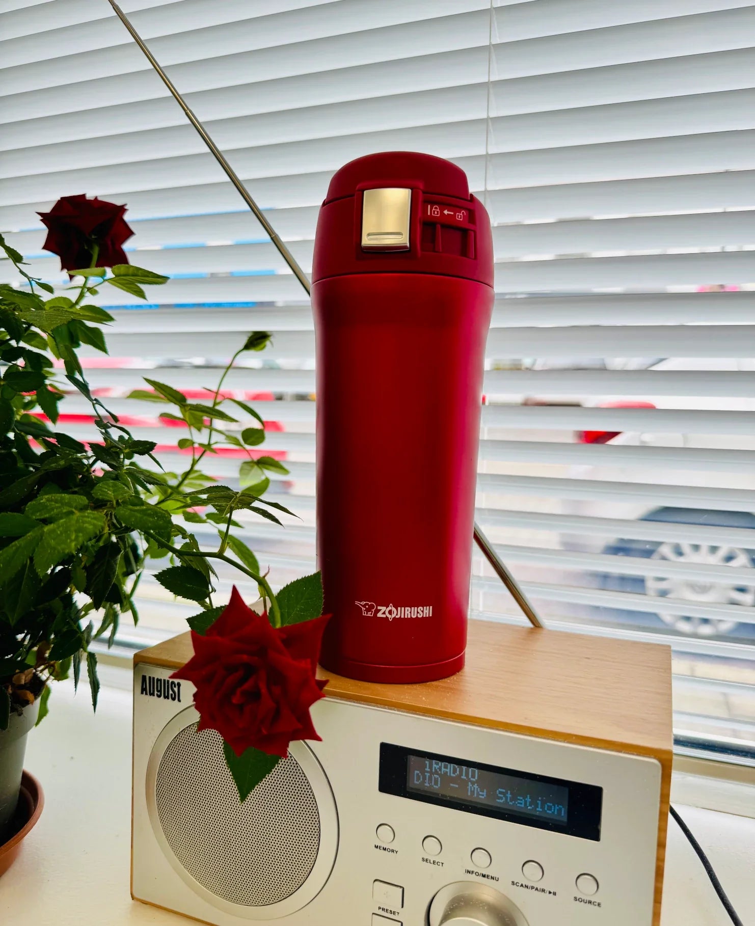Stylish Zojirushi SM-YA48 red travel mug 480ml in everyday Irish home setting, premium thermos for hot and cold drinks