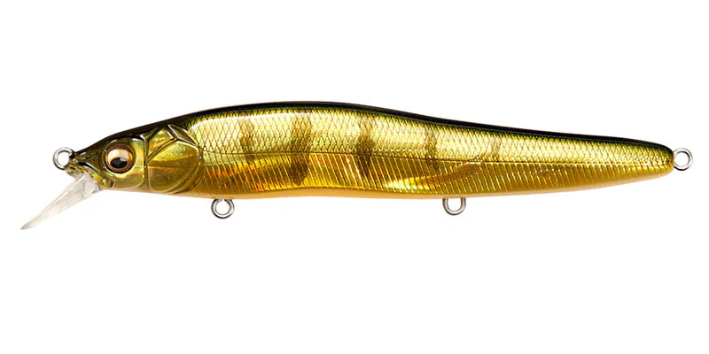 MEGABASS VISION ONETEN R Hi-Float GG PERCH OB