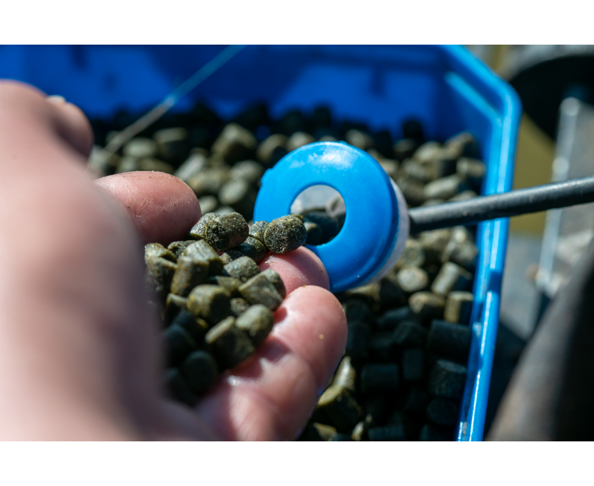 Sonubaits Marine Green Feed Pellets 900g