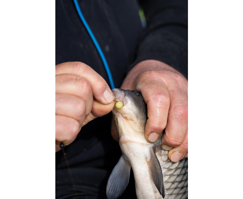 Sonubaits Spike'um Wafter 8mm