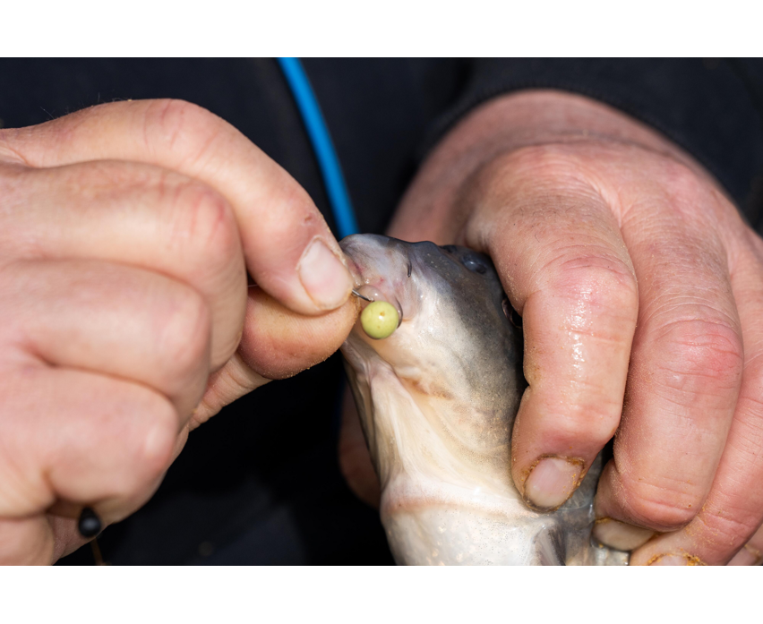 Sonubaits Spike'um Wafter 8mm