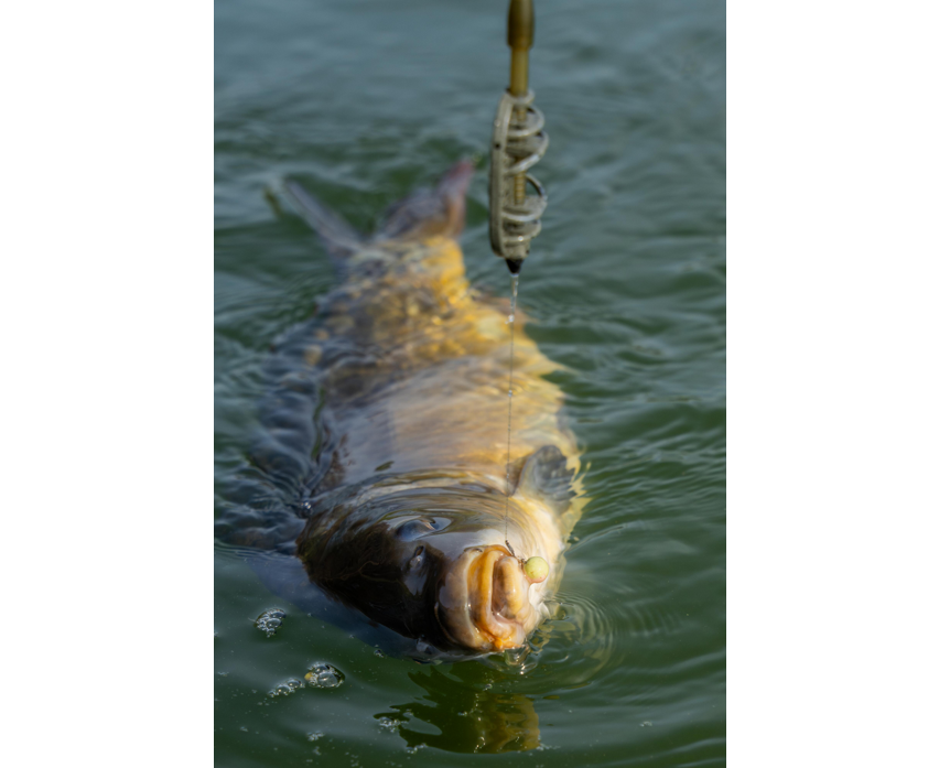 Sonubaits Spike'um Wafter 8mm