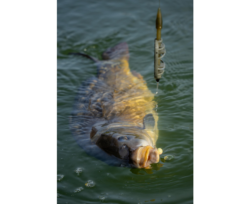 Sonubaits Spike'um Wafter 8mm