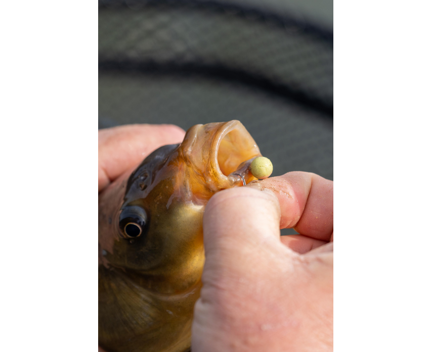 Sonubaits Spike'um Wafter 8mm