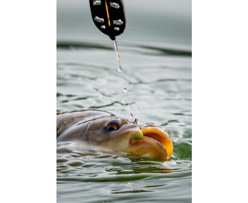 Sonubaits Spike'um Wafter 8mm