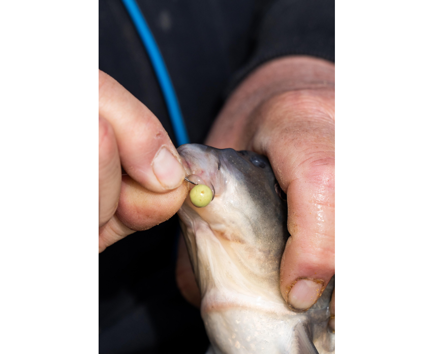 Sonubaits Spike'um Wafter 8mm