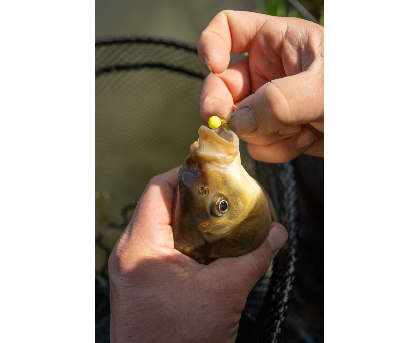 Sonubaits Spike'um Wafter 8mm