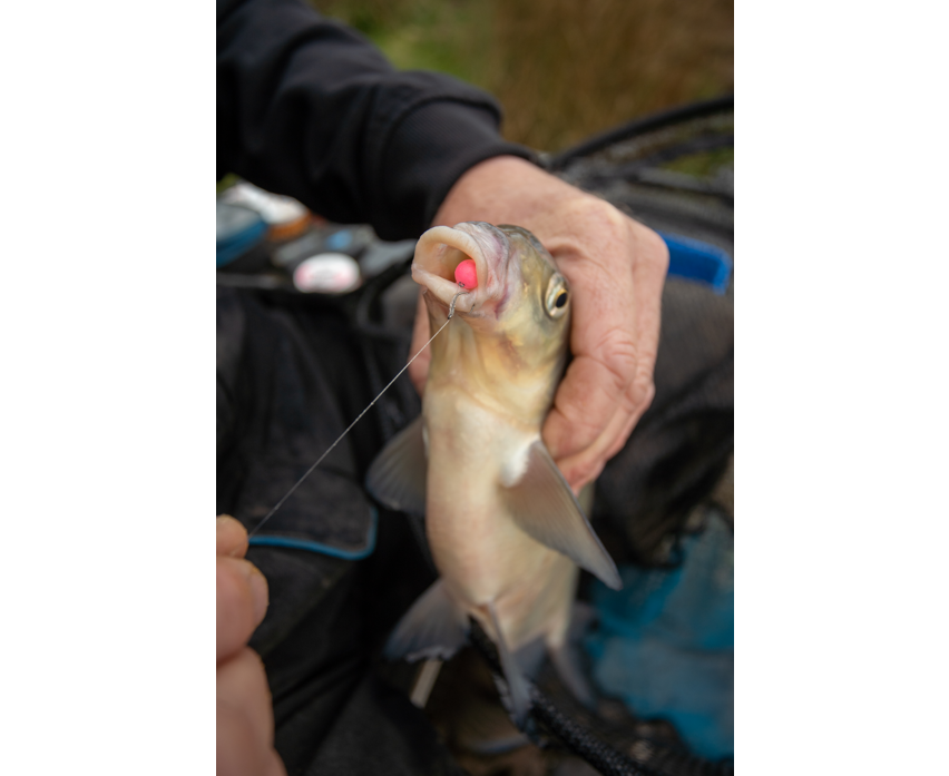 Sonubaits Spike'um Wafter 8mm